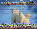 Scottie 1